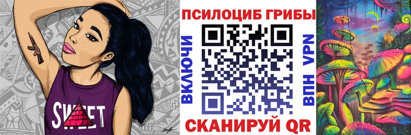 закладки  Тбилисская  мега ССЫЛКА  Галлюциногенные грибы Psilocybe 
